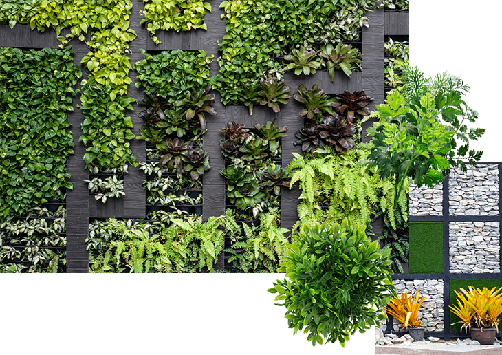 green plant wall decor