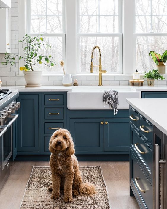 dark teal cabinets