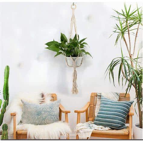 Boho plants decor