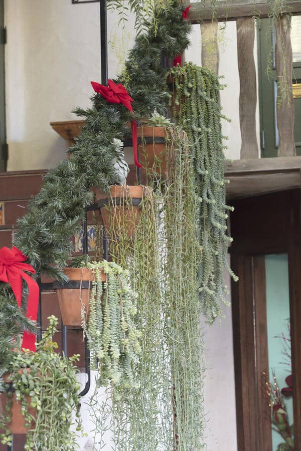 Stair decor plants