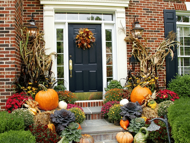 fall foliage charm