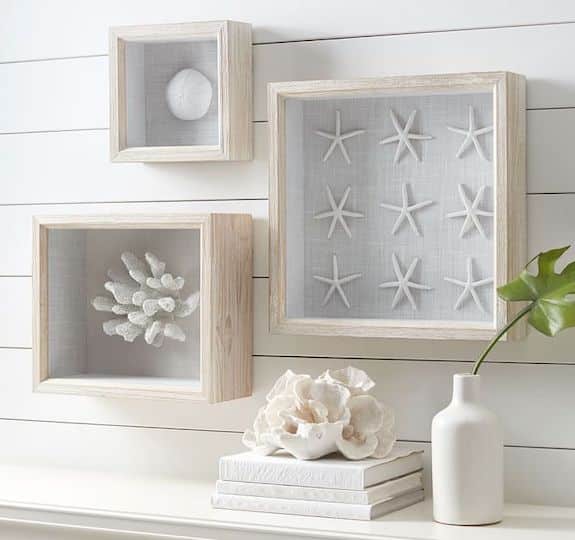 Coral Shadowbox Wall Decor