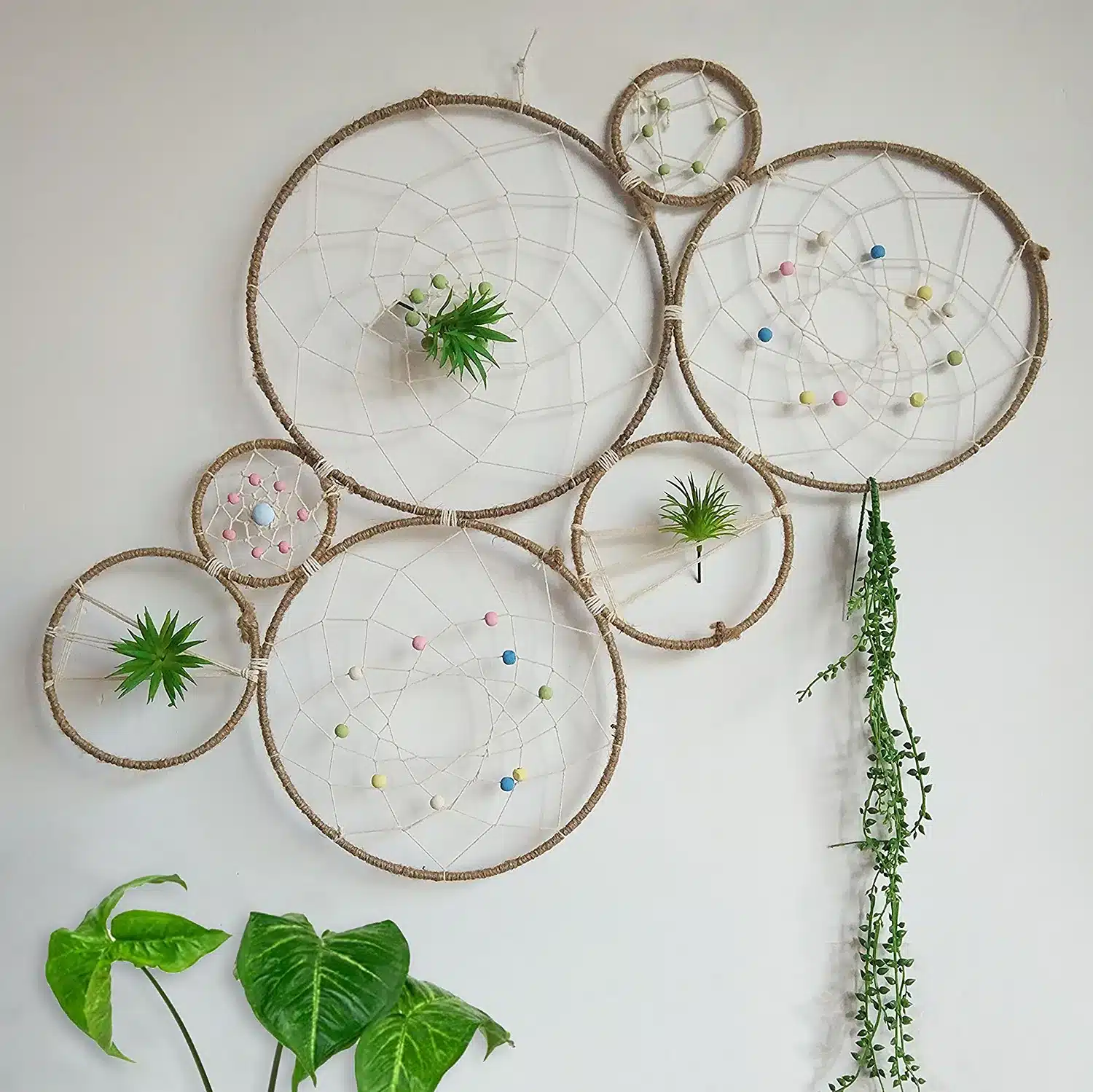 Riseon DIY Large Tillandsia Dream Catchers