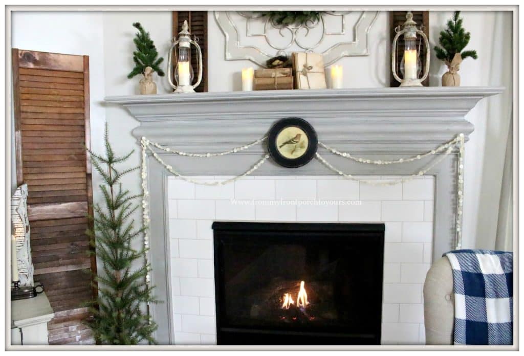 Fireplace Screen