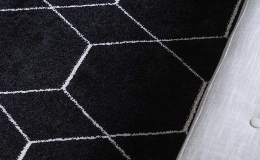 Mariela Geometric Area Rug in Black