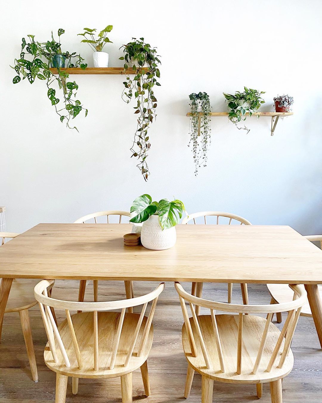 Set Up Plant Shelves mid century modern dining room