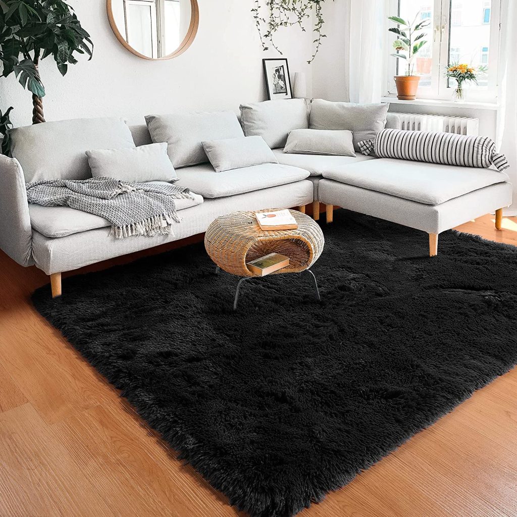 Area Rug