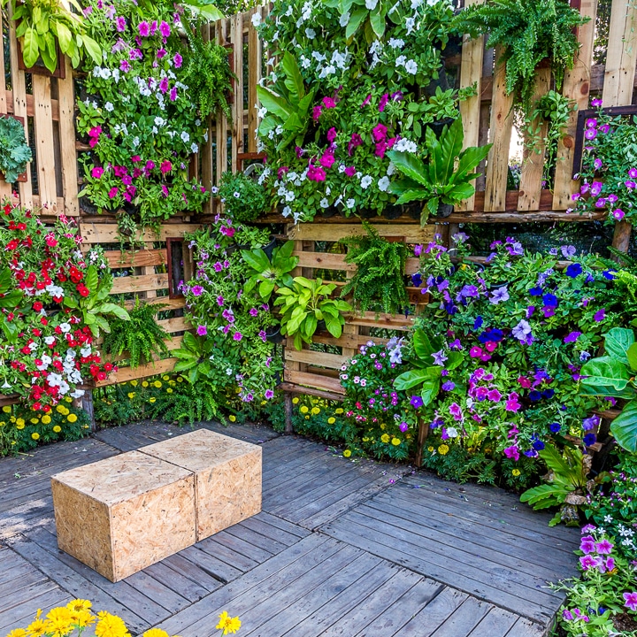 Best Vertical Garden Ideas and Designs for