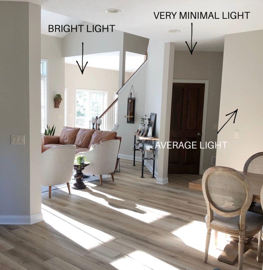 Is Edgecomb Gray HC-173 Adaptable to Different Light Conditions