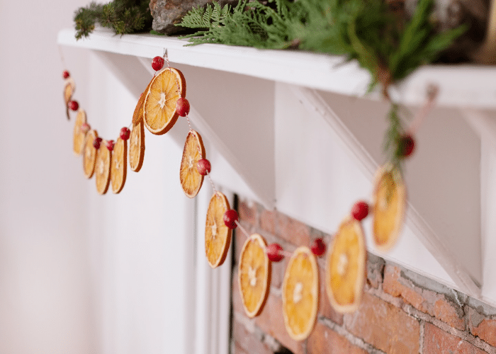 Citrus Delight Garland