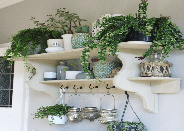 Farmhouse Kitchen Flowers and Greenery