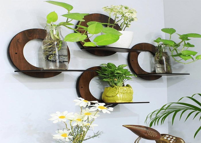 Hanging Plant Holders