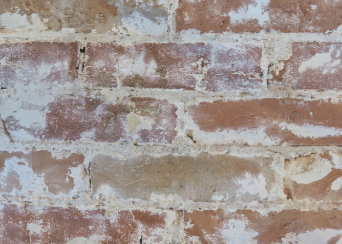 Do’s and Don’ts to Maintain Limewash Bricks