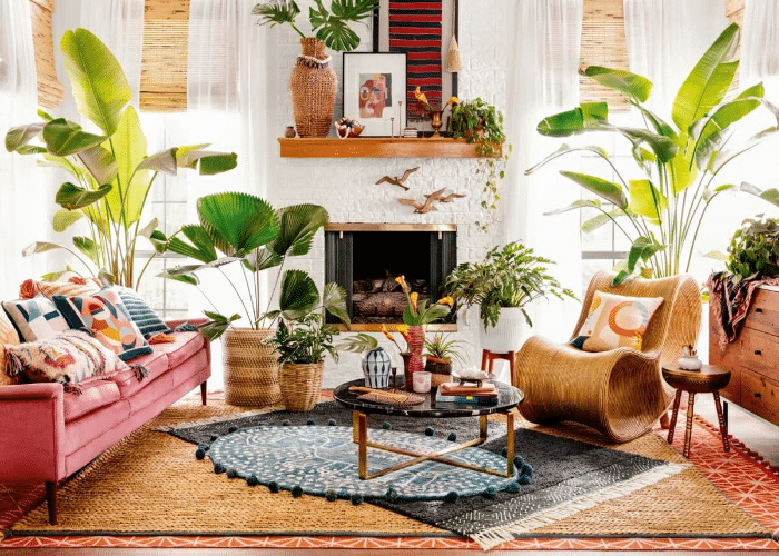 Plants on Your Boho Coffee Table