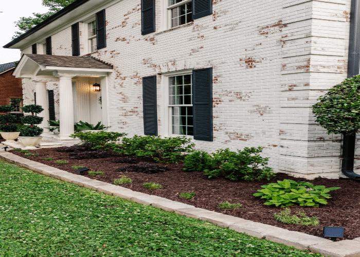 Steps to Clean Limewash Brick