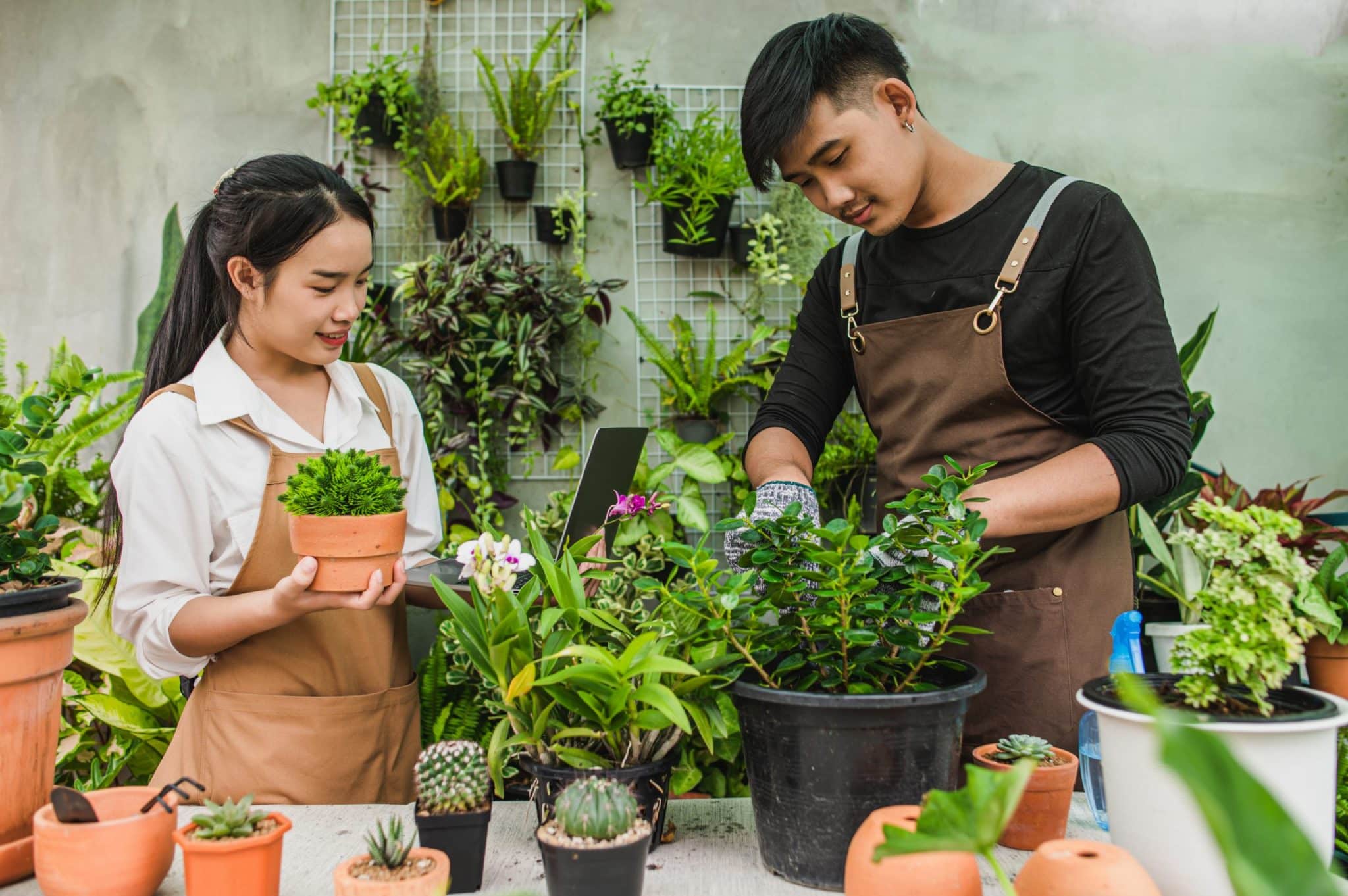 Blossoming Serenity: Cultivating Mental Well-Being Through the Therapeutic Power of Gardens