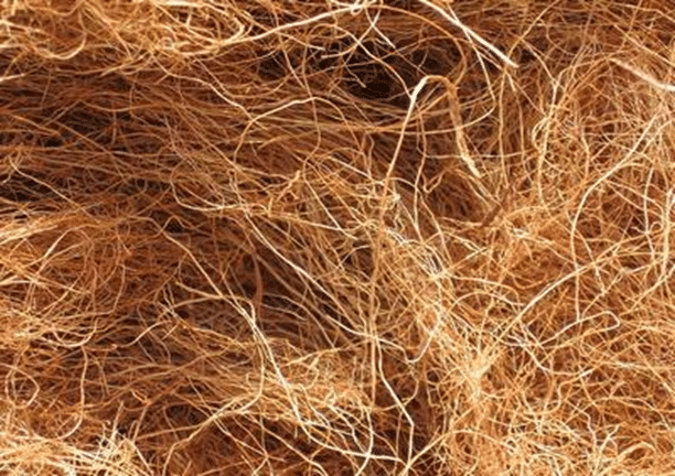 Coir