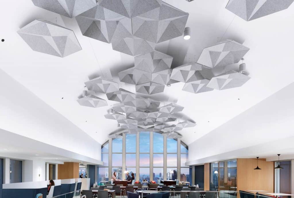 Designer Ceilings