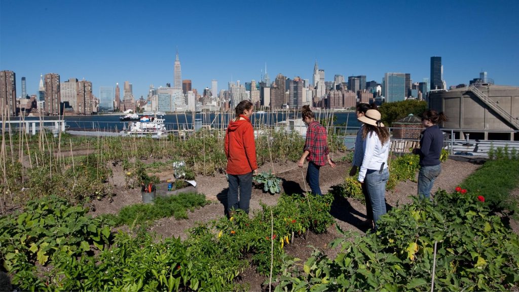 Cultivating Urban Sanctuaries: The Future of Retail