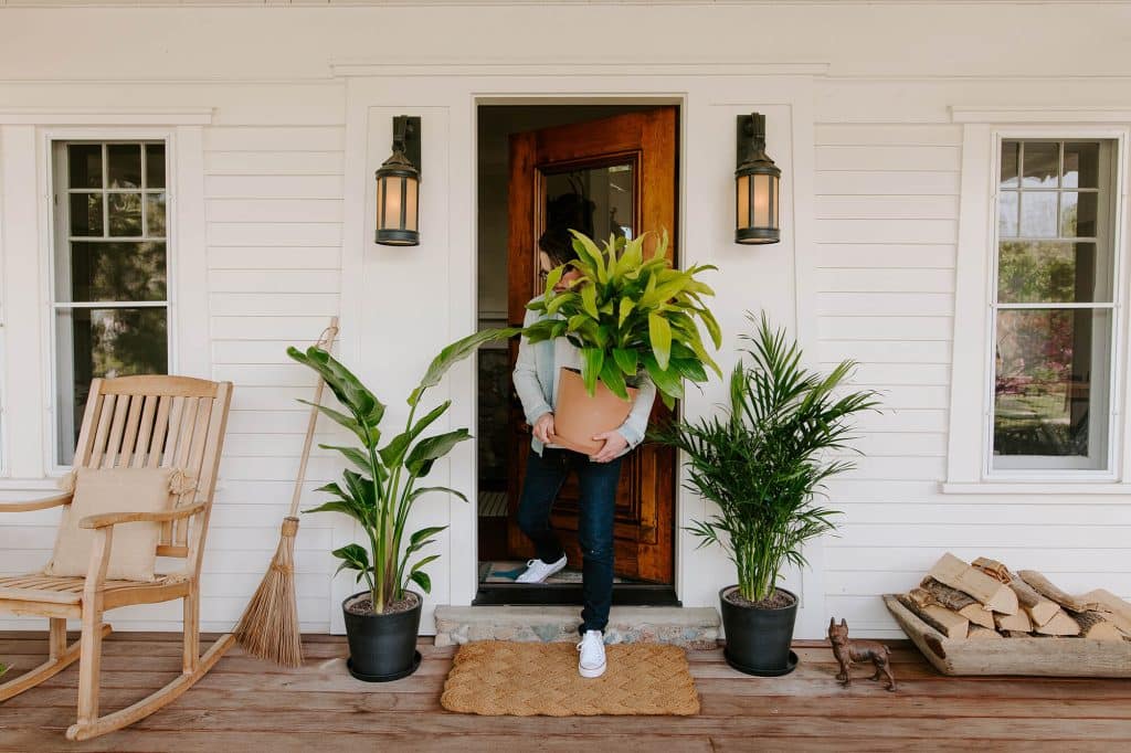 Place Potted Plants