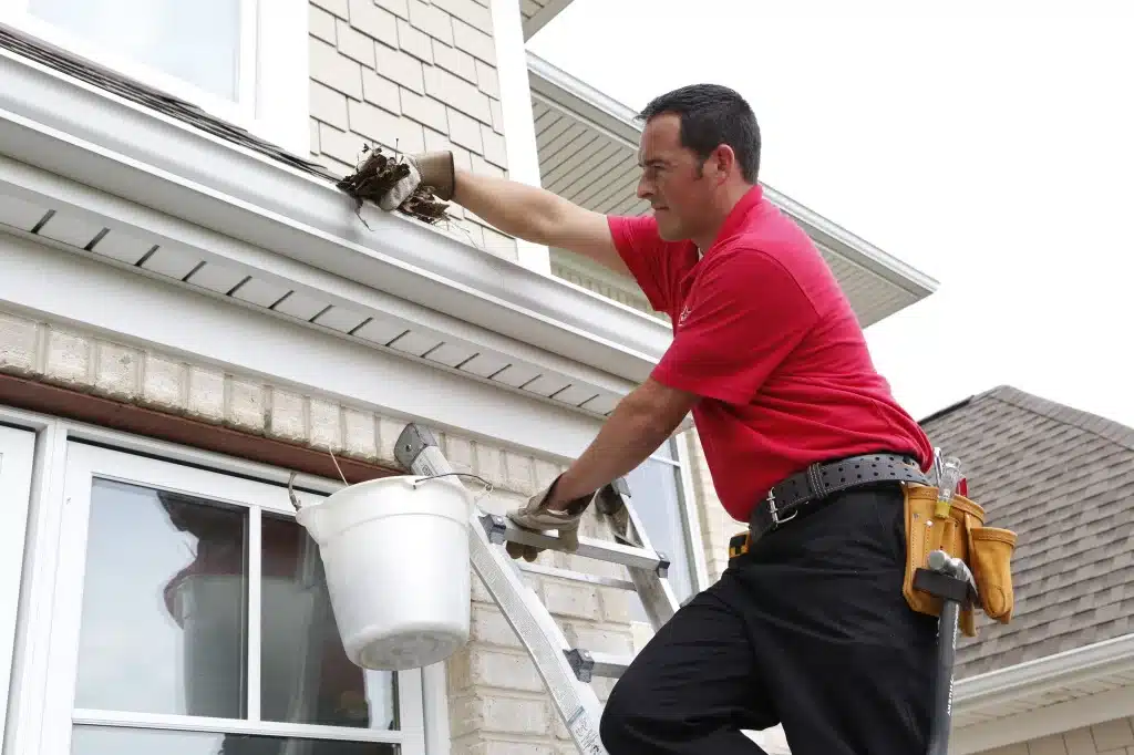 The Top Reasons To Have Your Home's Gutters Professionally Cleaned