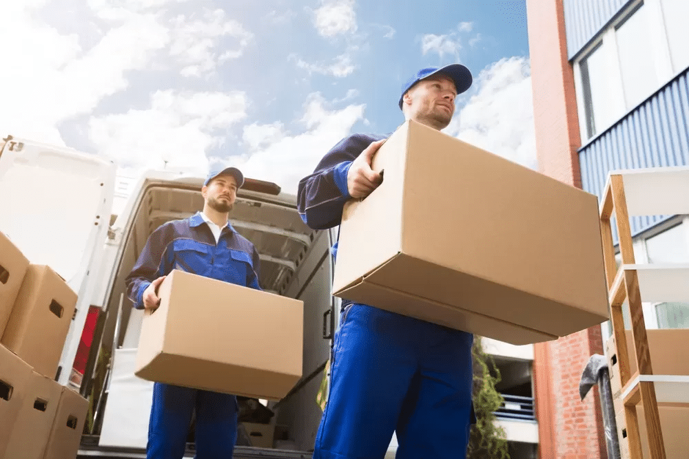 The Importance of Specialized Moving Services