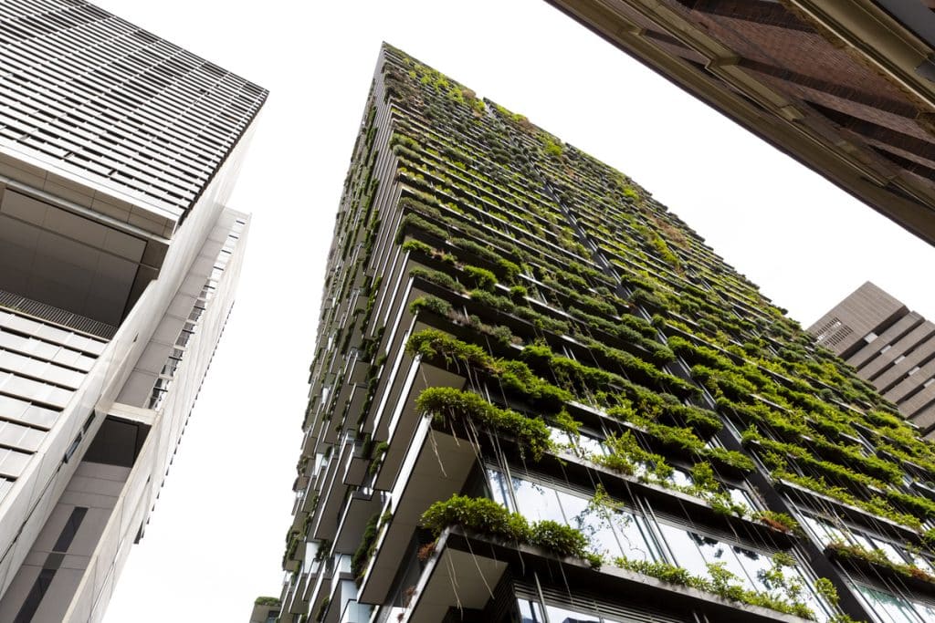 The Rise of Biophilic Design