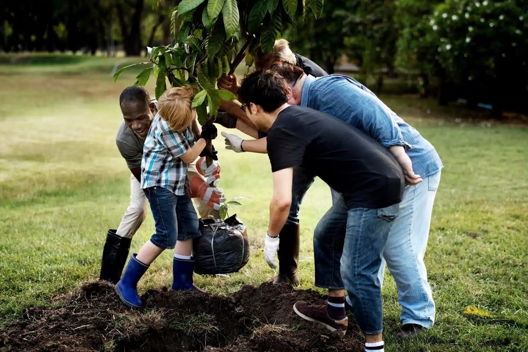 A Guide to Planting and Caring For Fruit Trees in Your Home Garden