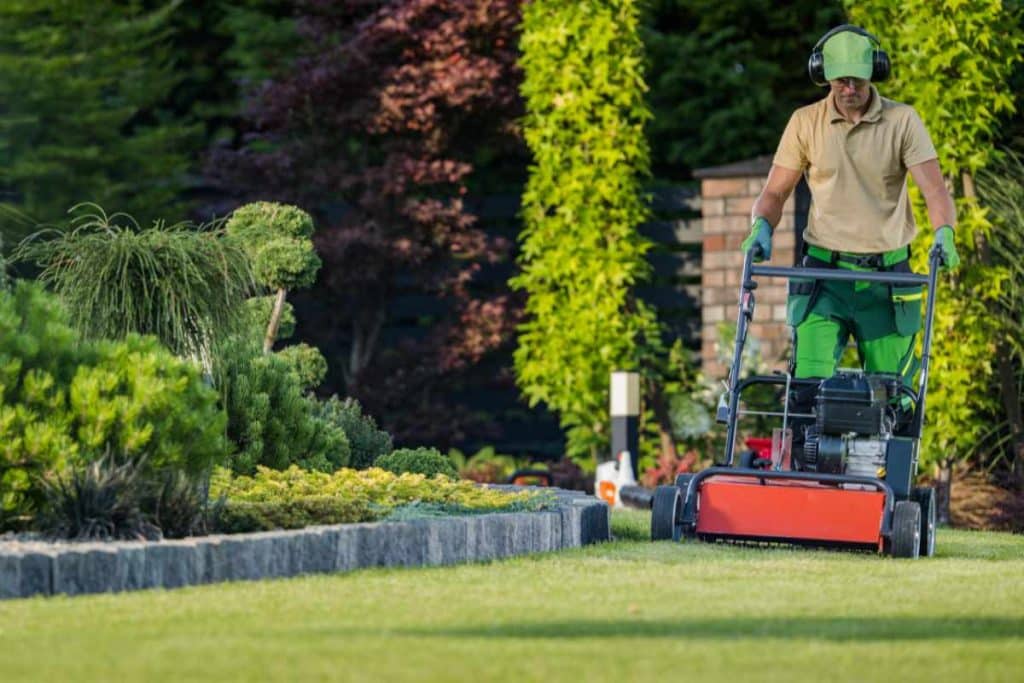 Prioritize Regular Spring Lawn Care