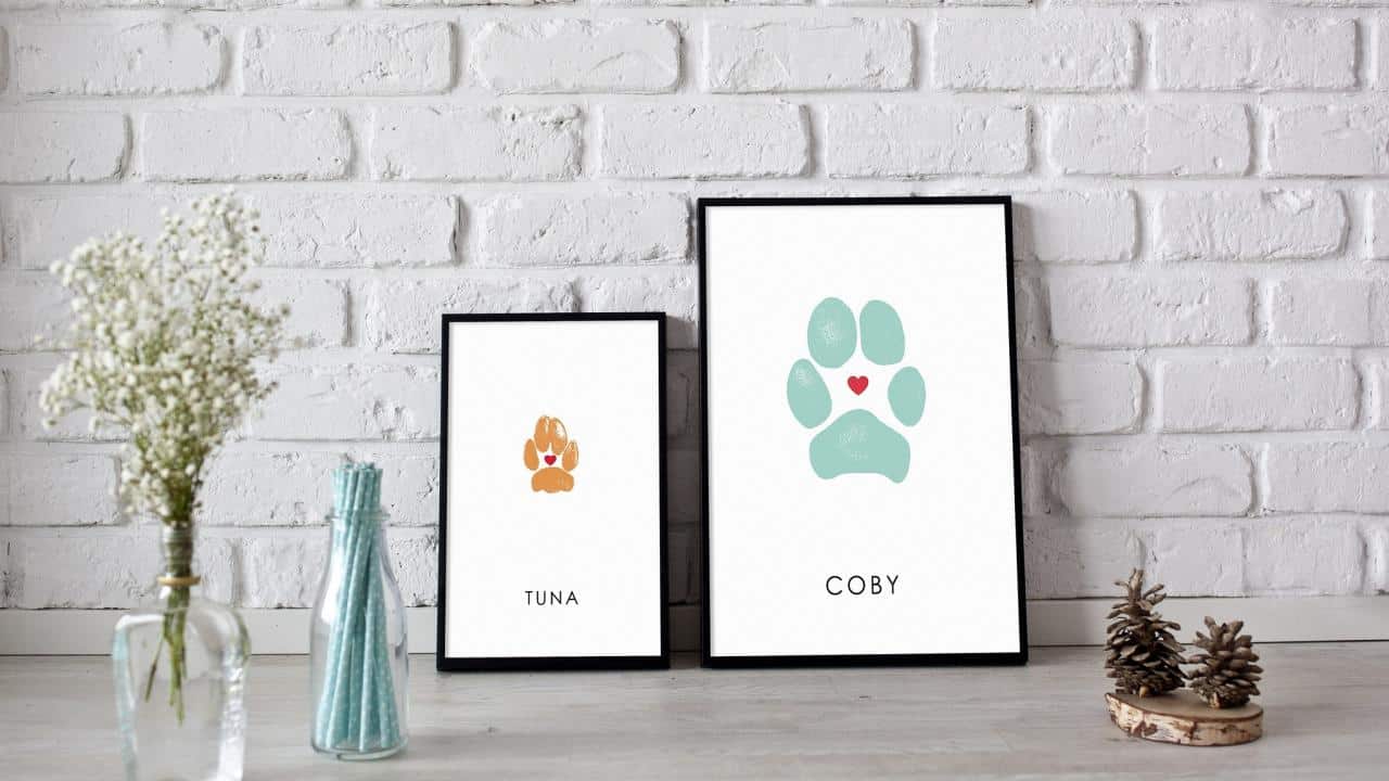 10 Unique Wall Art Ideas For Pet Parents