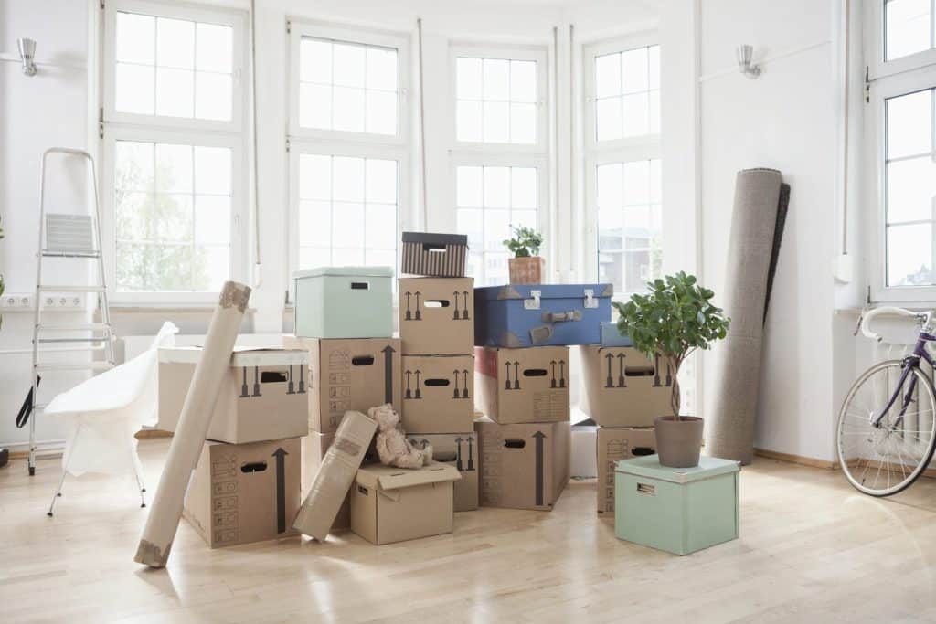 Understanding Your Moving Needs