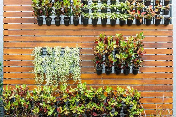 Install a Vertical Garden