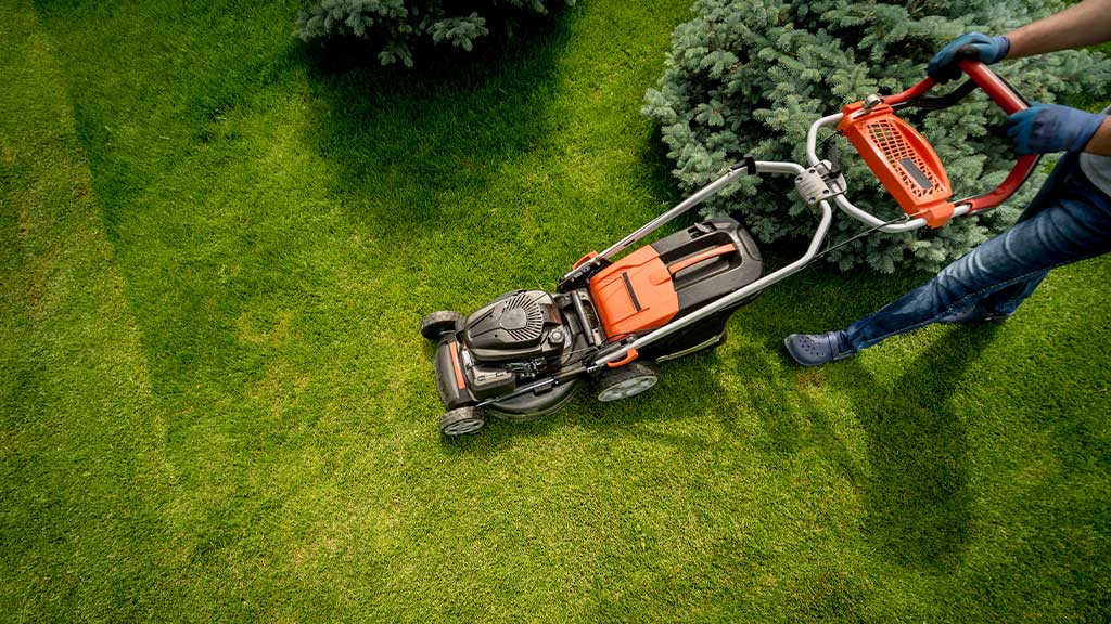 Several Tips For Low-Maintenance Lawn Care