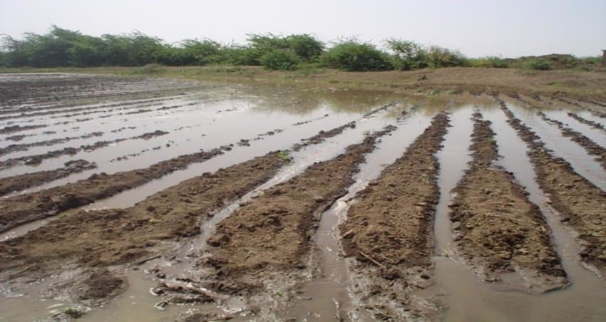 Waterlogged Soil