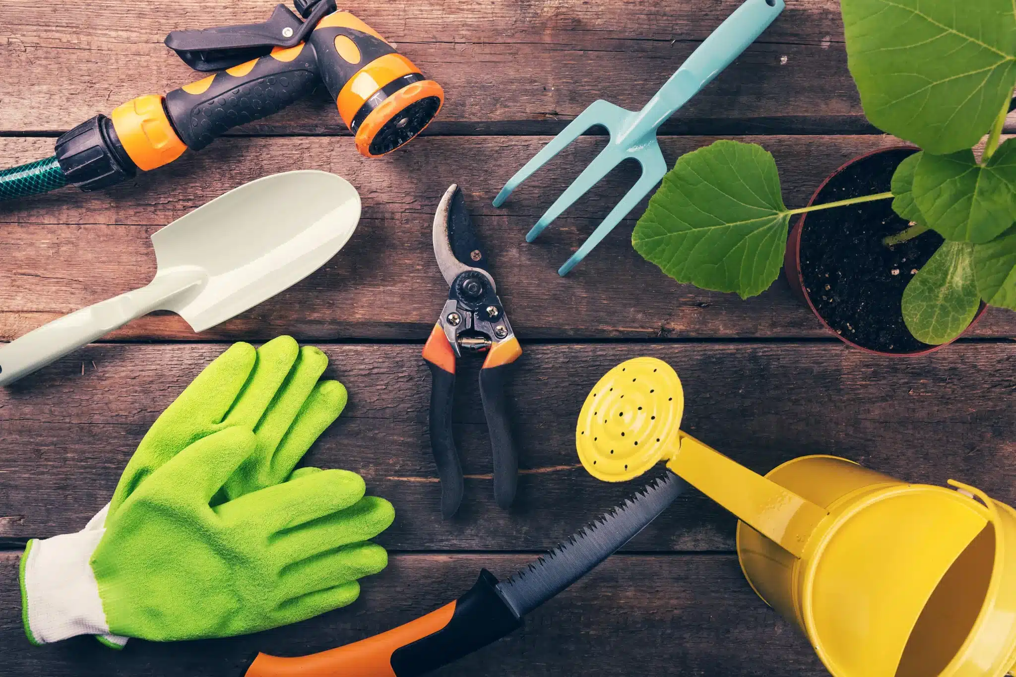 Essential Gardening Tools for Beginners