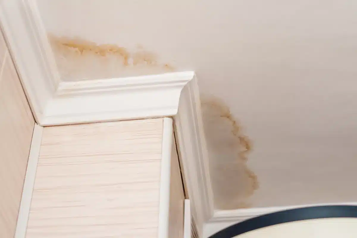 Signs of Water Damage