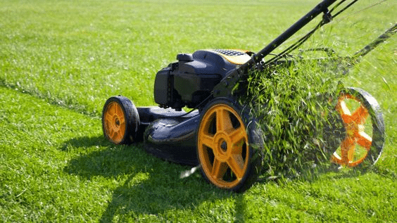 Lawn Mower Maintenance Tips for Keeping Mower in Top Shape