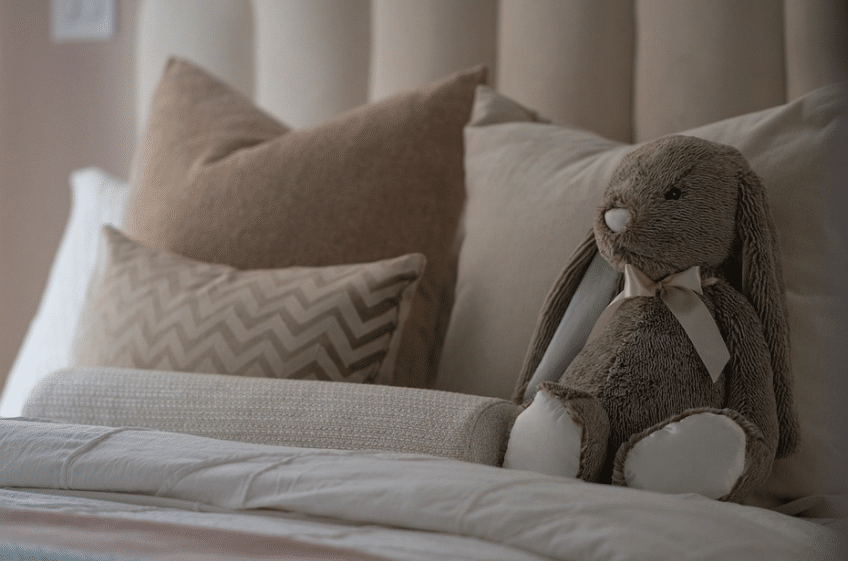 Don't Let Bed Bugs Bite: A Homeowner's Guide