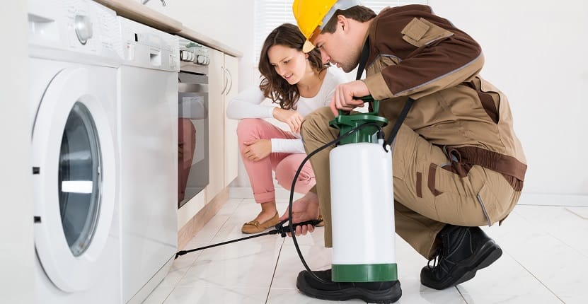 6 Factors That Affect Pest Control Costs