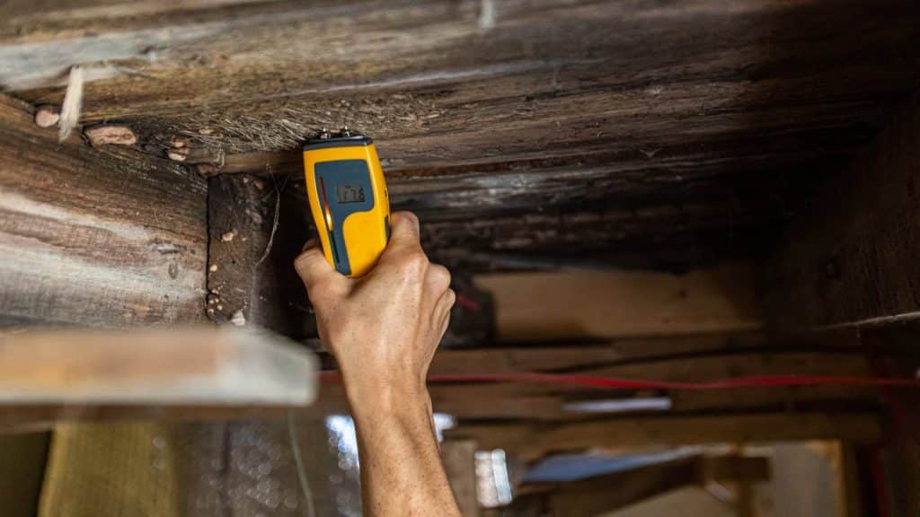 What Is a Damp Survey and Why Do You Need One?