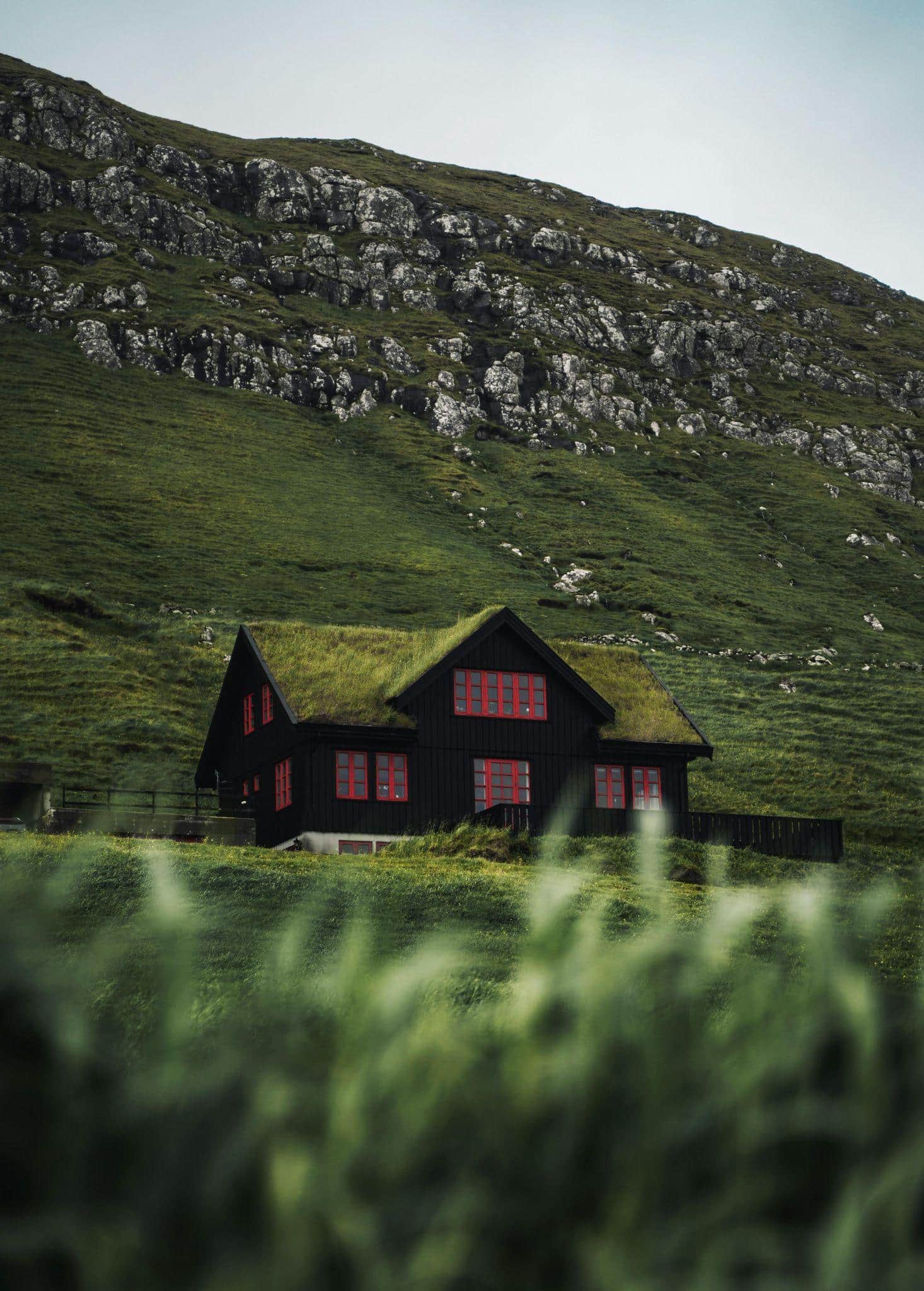 The Benefits of Green Roofing for Your House