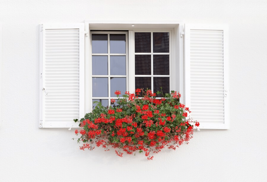 How Window Flower Boxes Transform Small Spaces: Inspiration & Practical Tips