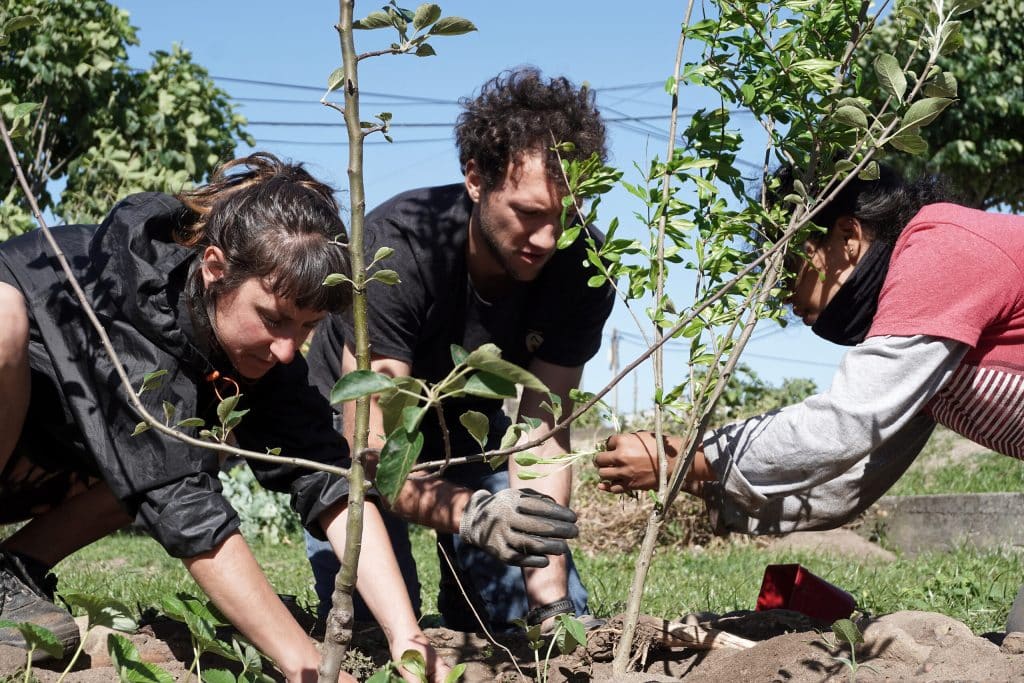 Climate-Resilient Planting for Extreme Weather