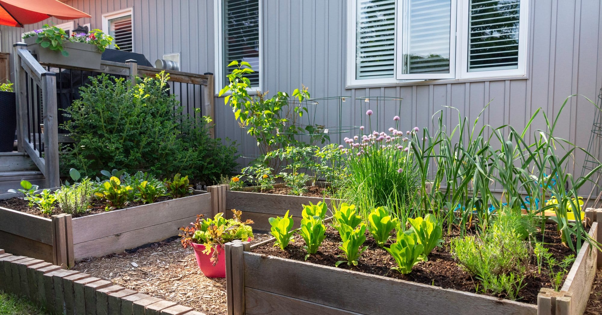 How to Get Started with Raised Beds in Small Spaces