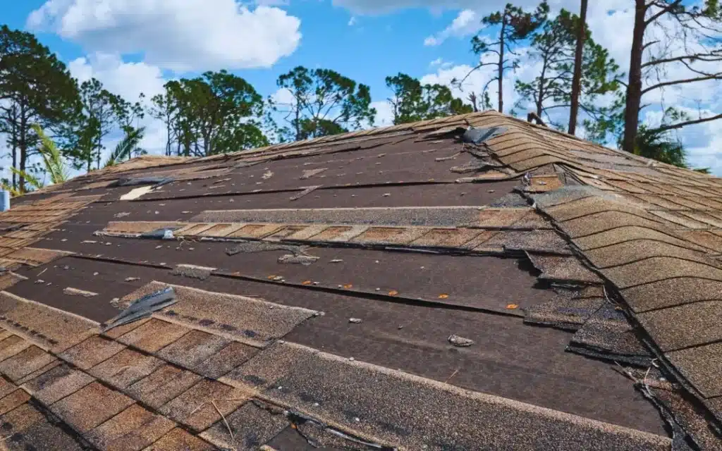 Signs Your Roof Needs Attention