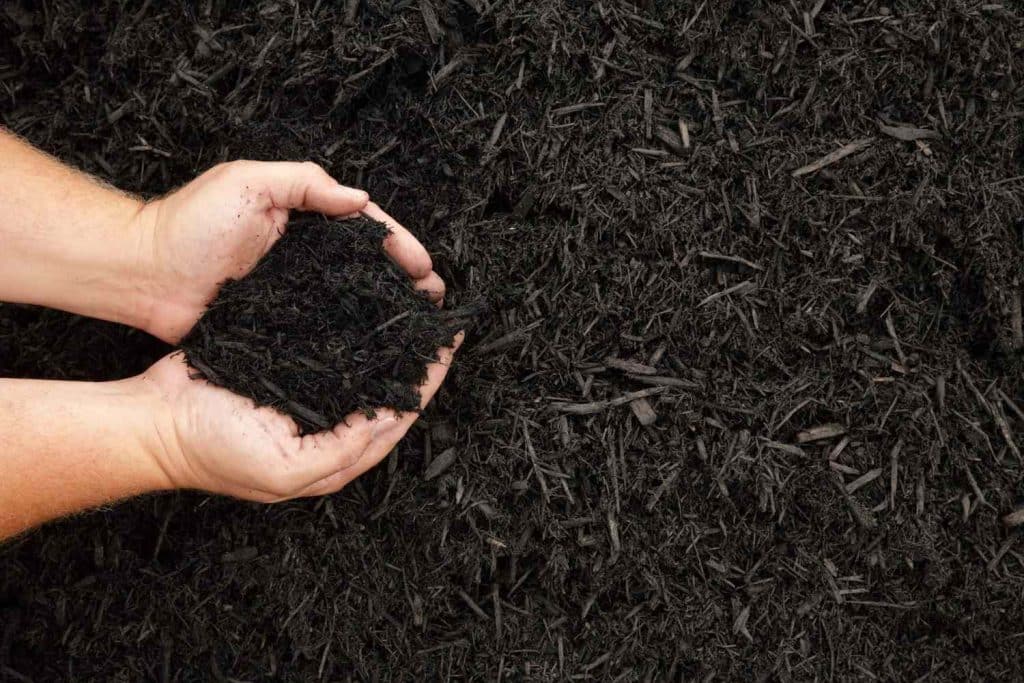 What Are the Different Types of Organic Mulch?