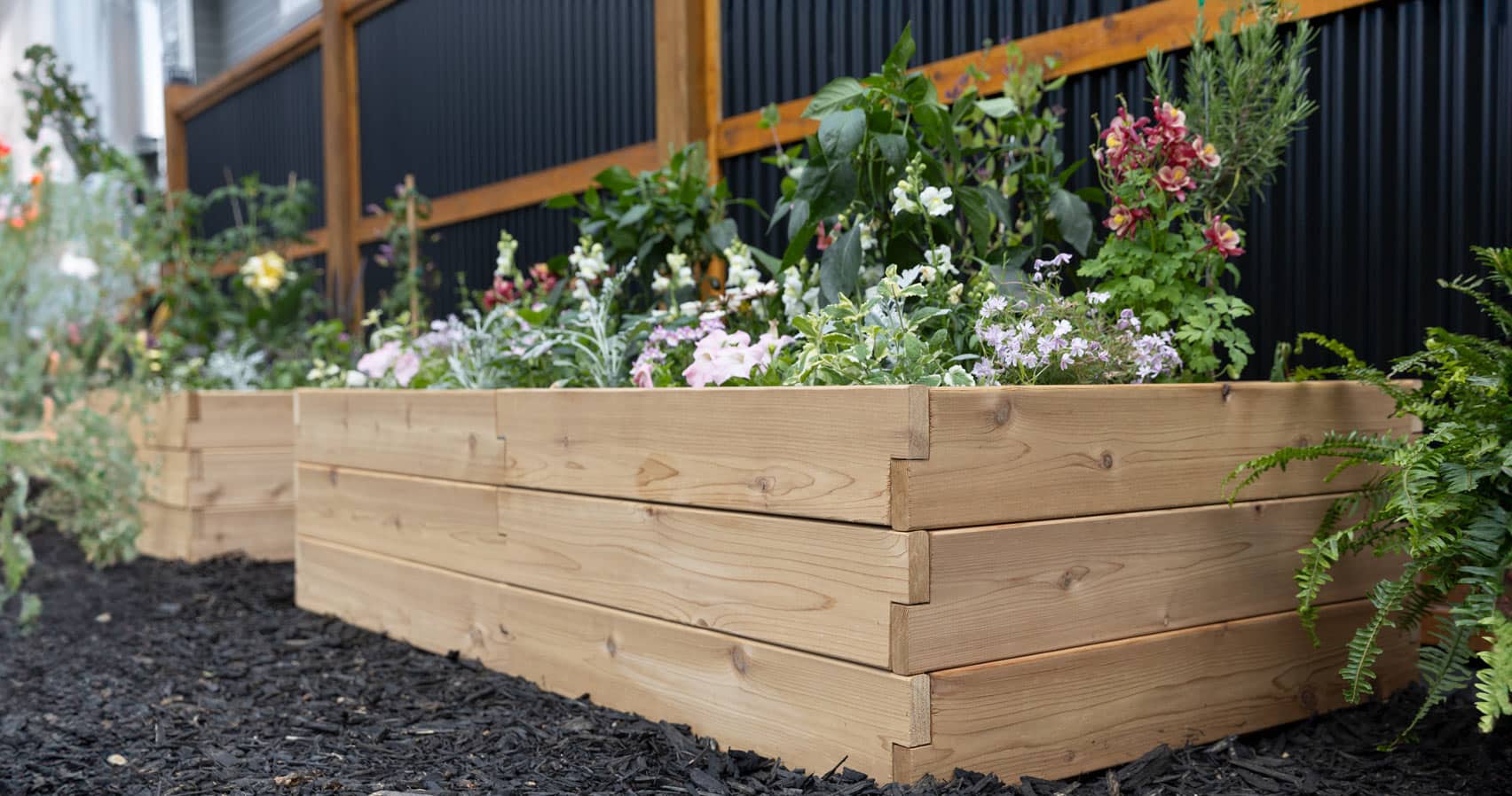 Small-Space Gardening Made Easy with Raised Beds