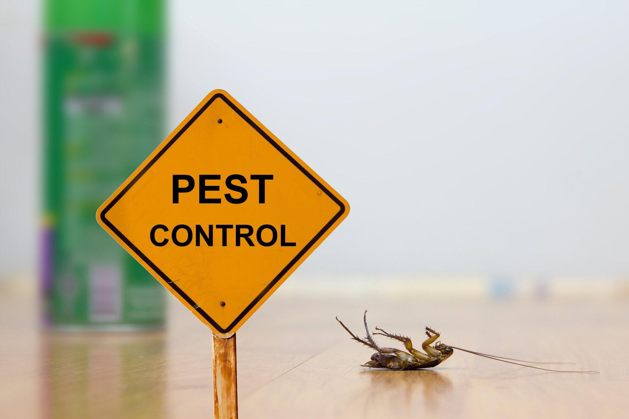 What to Do When You Encounter a Pest Control Emergency