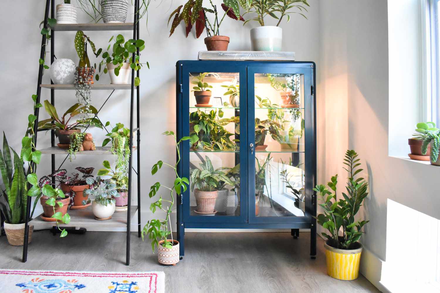 Indoor Greenhouse Cabinet