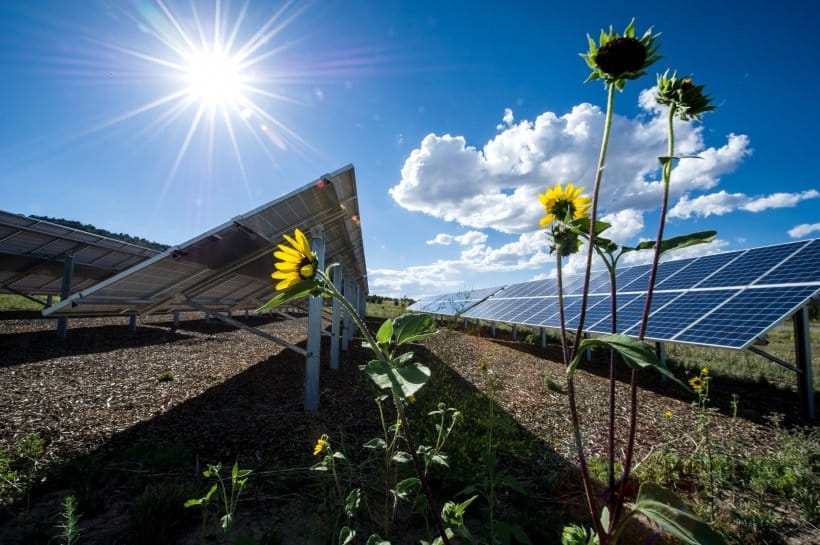 The Rise of Renewable Energy Solutions for Homes